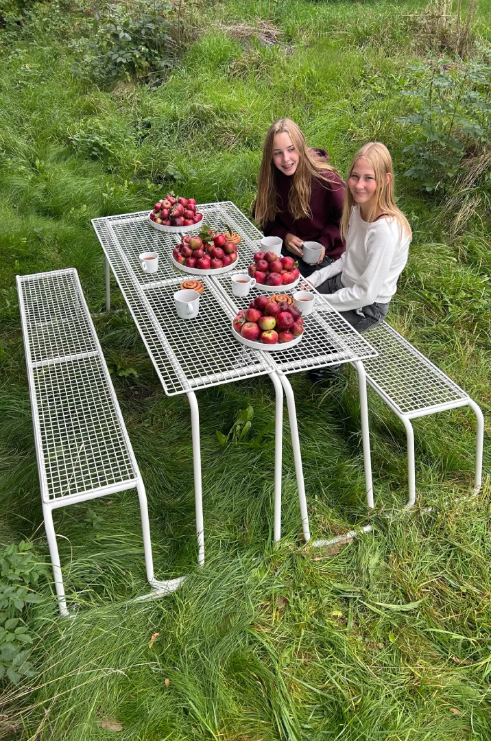 piknikový stůl Line Grid v zahradě s jablky a hrnky